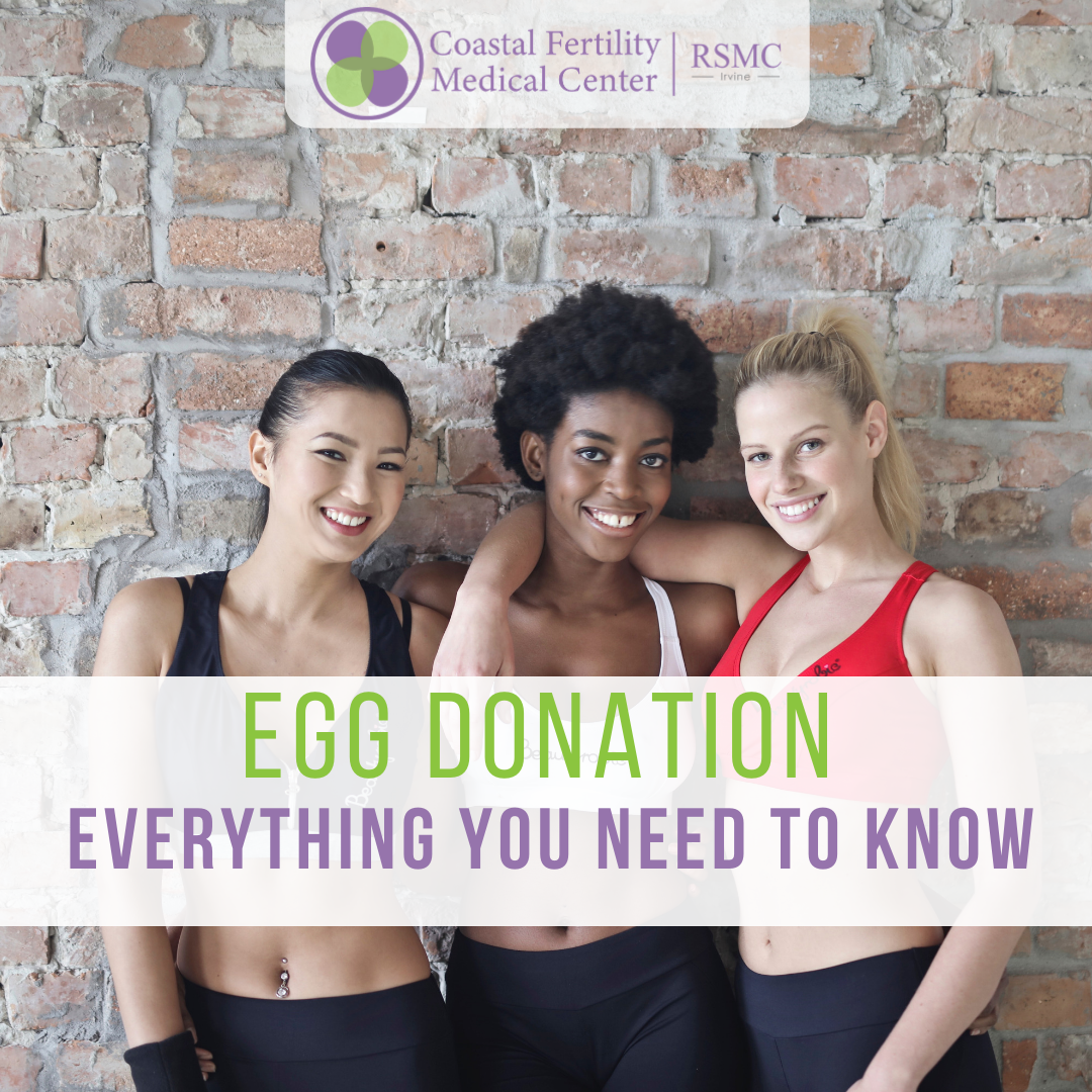 Egg Donation: Everything You Should Know