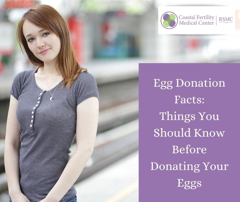 Egg Donation Facts: Things You Should Know Before Donating Your Eggs