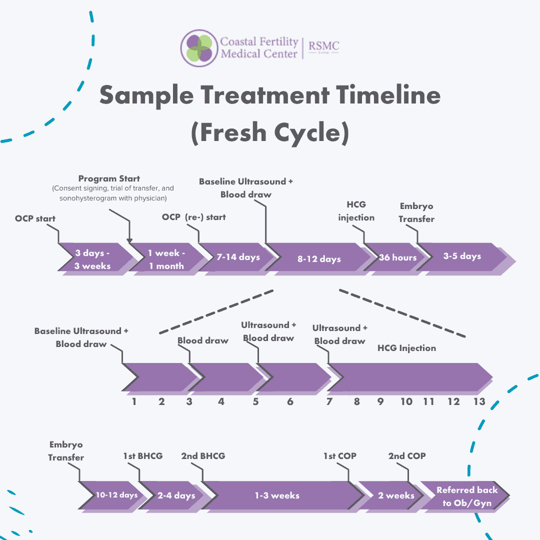 IVF Process Timeline & Calendar How Long Does IVF Take?